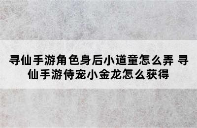 寻仙手游角色身后小道童怎么弄 寻仙手游侍宠小金龙怎么获得